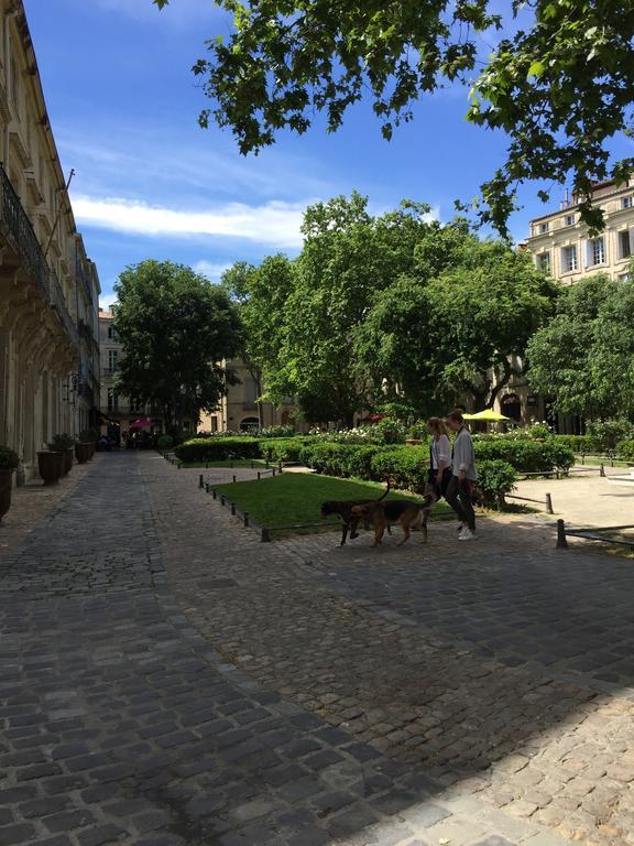 Appartement Vieille Intendance Montpellier Exterior foto
